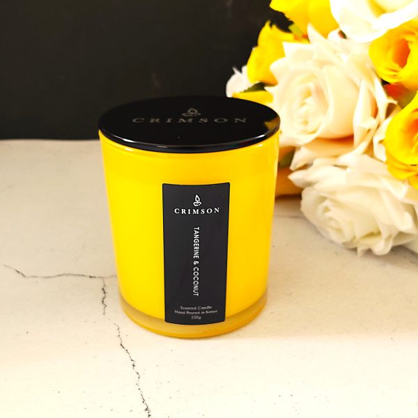 Tangerine & Coconut Scented Candle <br> 10 Pieces